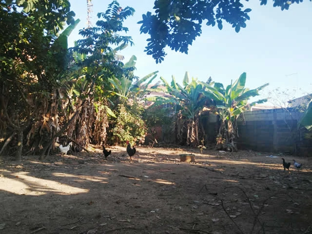 Terrenos em Caraguatatuba